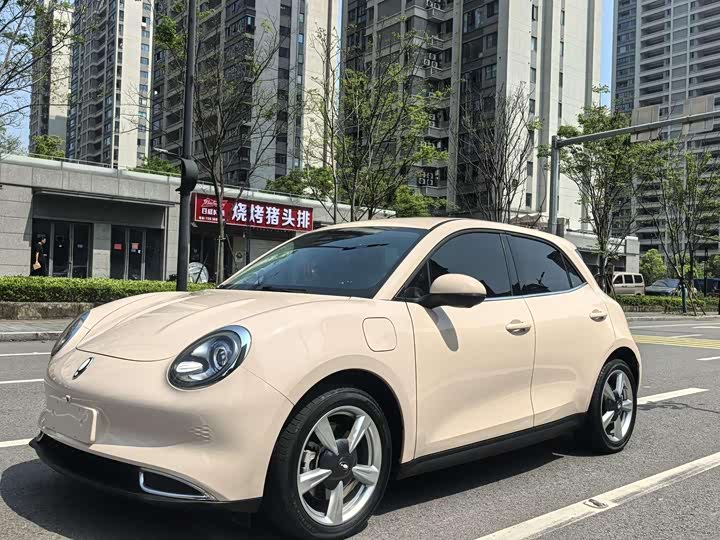 Ora Good Cat 2024 401km Luxury - zdjęcie 16