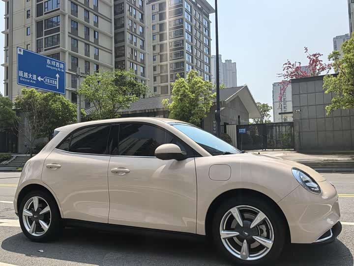 Ora Good Cat 2024 401km Luxury - zdjęcie 18