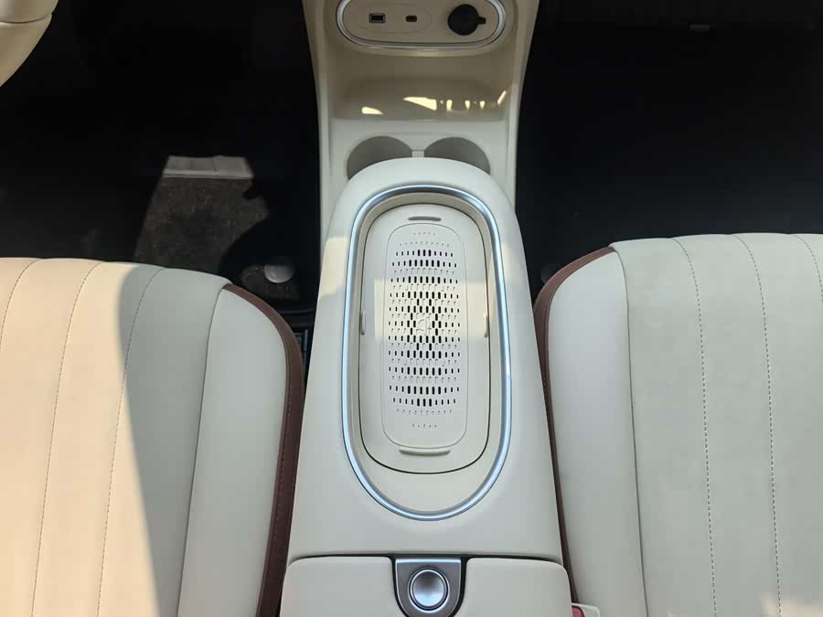 Ora Good Cat 2024 401km Luxury - zdjęcie 8