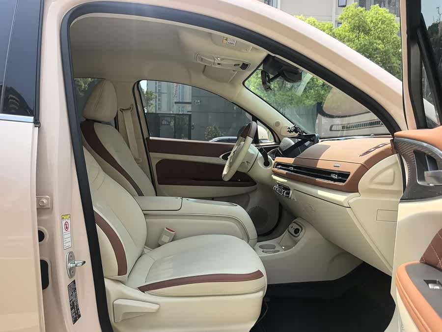 Ora Good Cat 2024 401km Luxury - zdjęcie 10