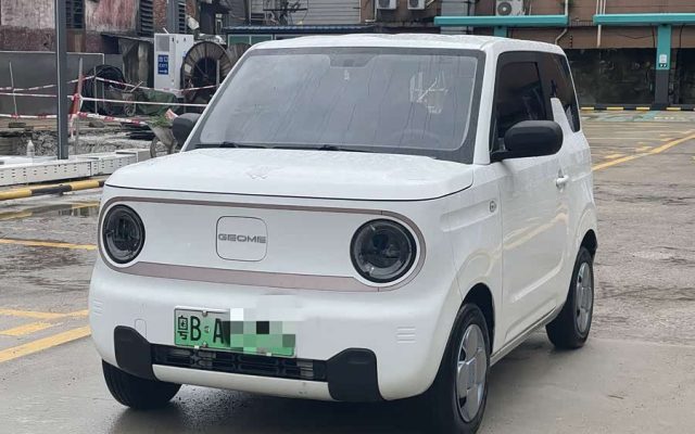 Panda 2023 Panda Mini 200km Endurance Bear