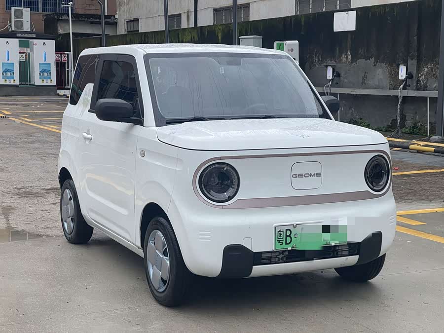 Panda 2023 Panda Mini 200km Endurance Bear - zdjęcie 2
