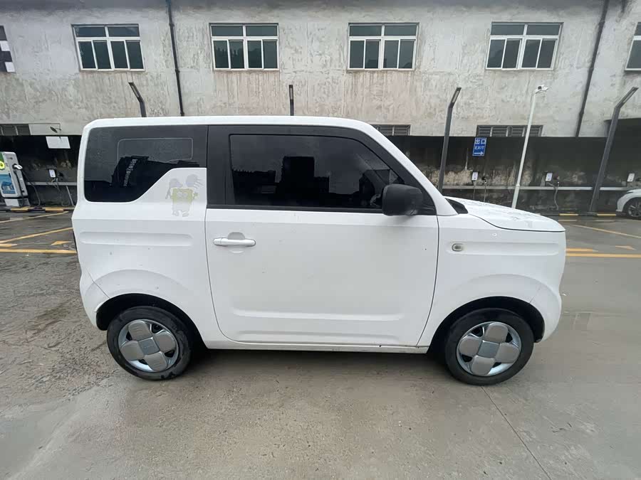 Panda 2023 Panda Mini 200km Endurance Bear - zdjęcie 11