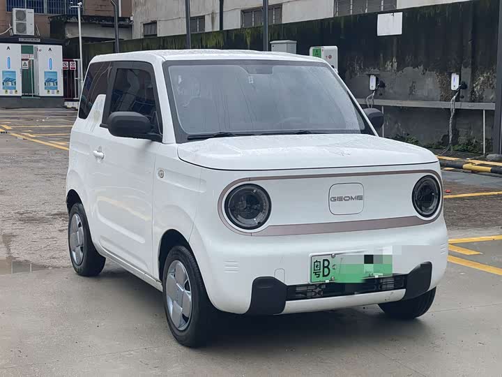 Panda 2023 Panda Mini 200km Endurance Bear - zdjęcie 17