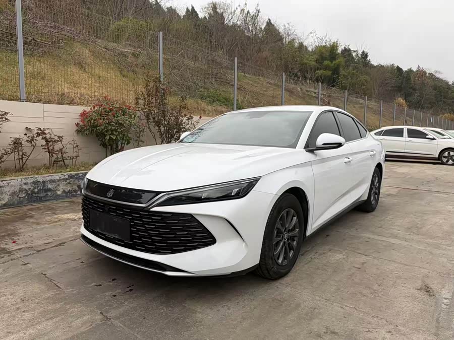 Qin L 2024 DM-i 80KM Leading