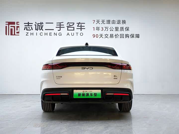 Qin L 2025 DM-i Intelligent Driving 120KM Beyond - zdjęcie 19