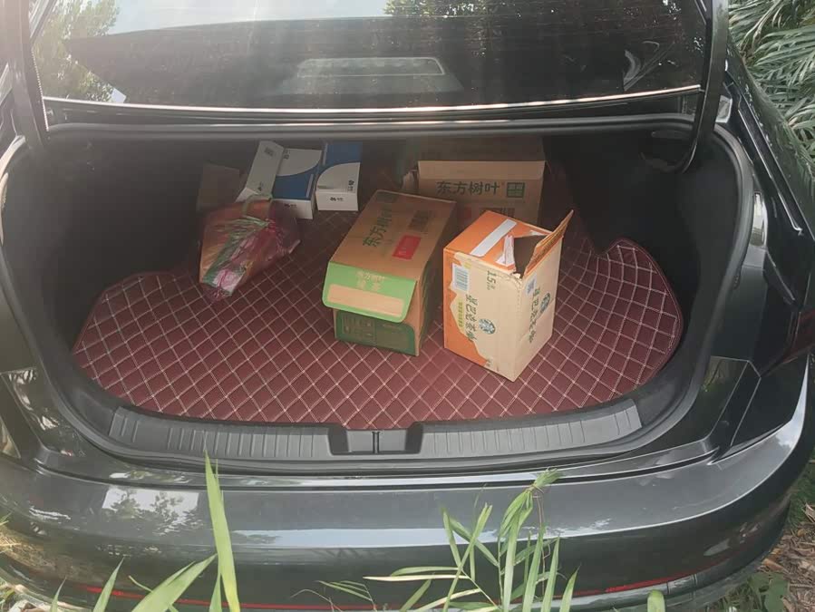 Sagitar 2023 300TSI DSG Beyond - zdjęcie 4