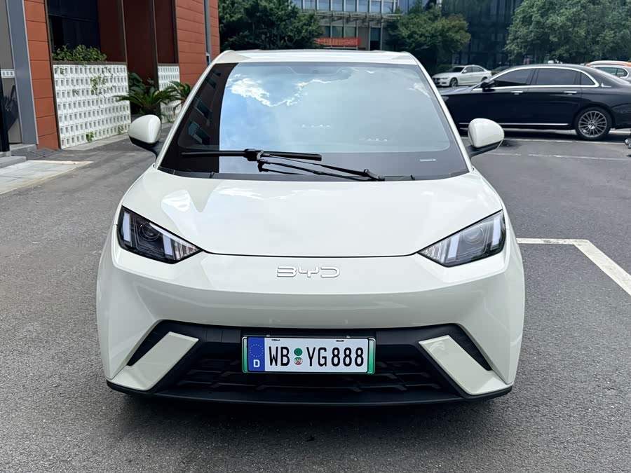 Seagull 2024 Glory Edition 305km Vitality Edition - zdjęcie 2