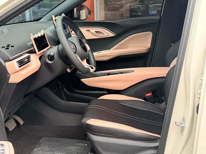 Seagull 2024 Glory Edition 305km Vitality Edition - zdjęcie 16