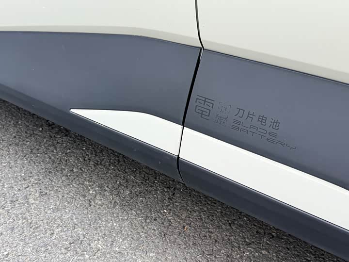 Seagull 2024 Glory Edition 305km Vitality Edition - zdjęcie 19
