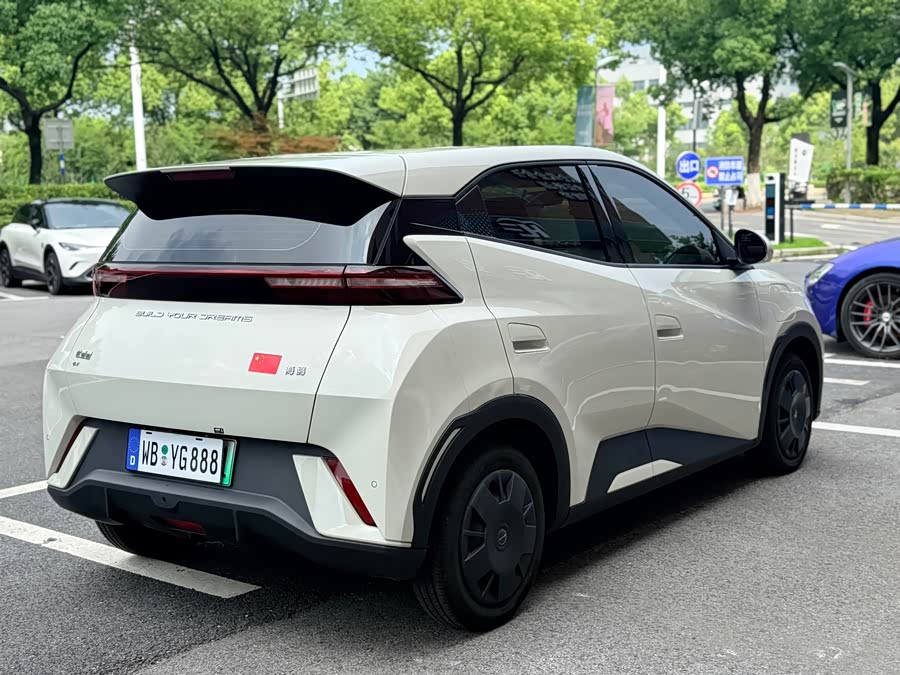 Seagull 2024 Glory Edition 305km Vitality Edition - zdjęcie 3