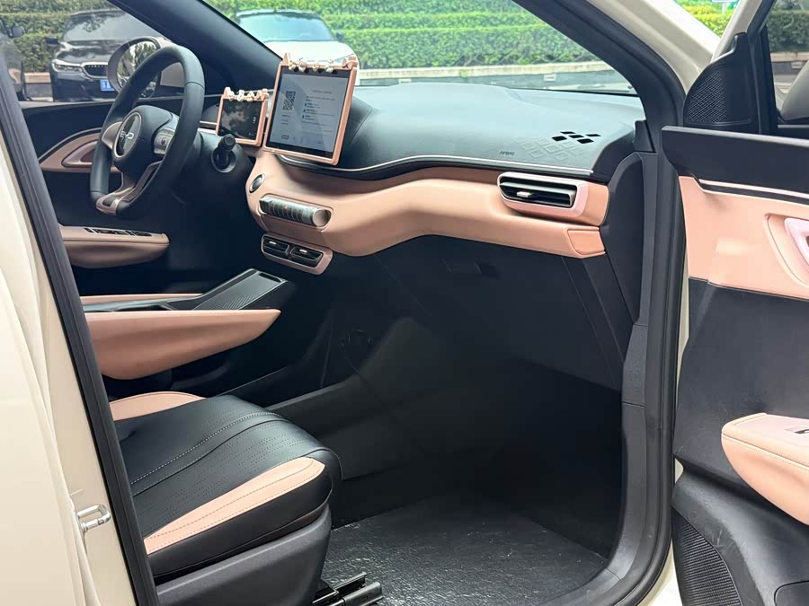 Seagull 2024 Glory Edition 305km Vitality Edition - zdjęcie 6