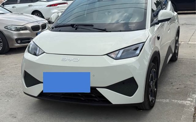 Seagull 2025 Smart Drive 405km Flying Edition
