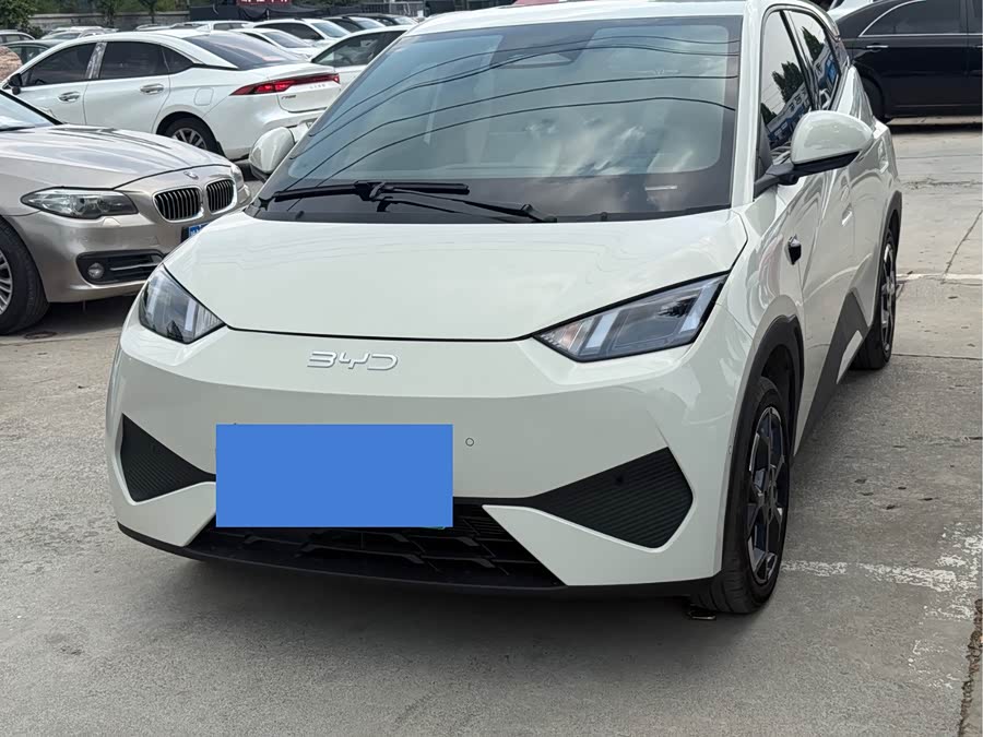 Seagull 2025 Smart Drive 405km Flying Edition