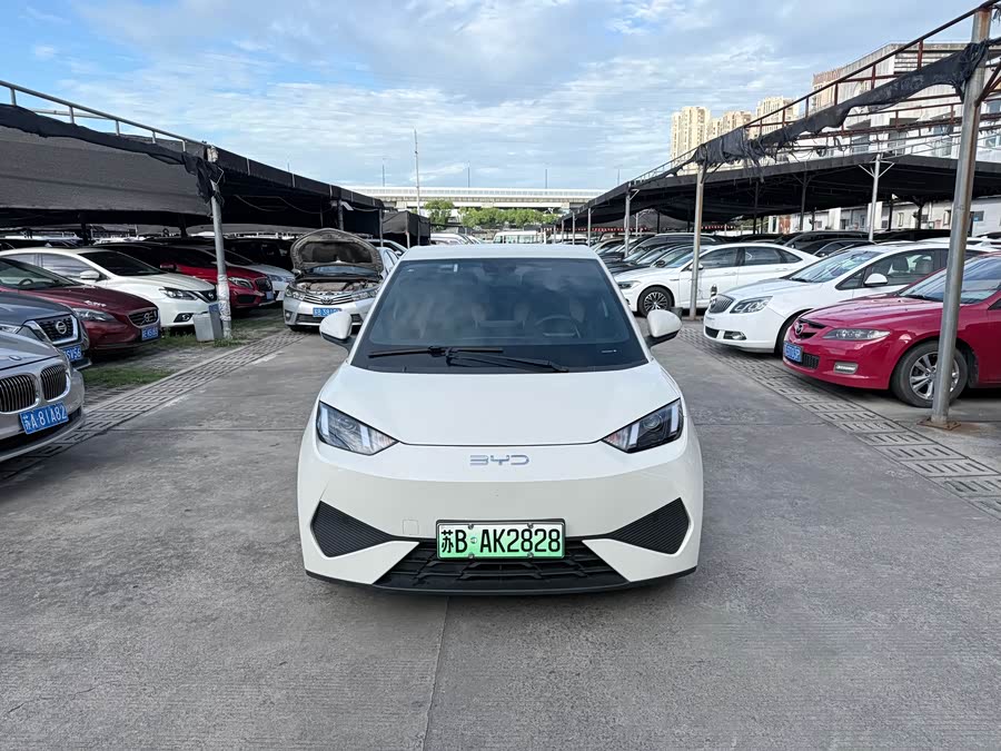 Seagull 2025 Smart Driving Edition 305km Vitality Edition - zdjęcie 2
