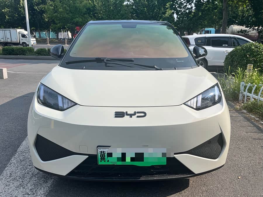 Seagull 2025 Smart Driving Edition 305km Vitality Edition - zdjęcie 2