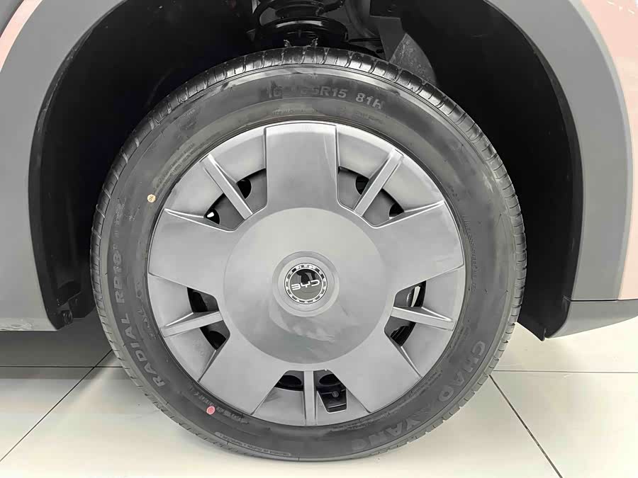 Seagull 2025 Smart Driving Edition 305km Vitality Edition - zdjęcie 11