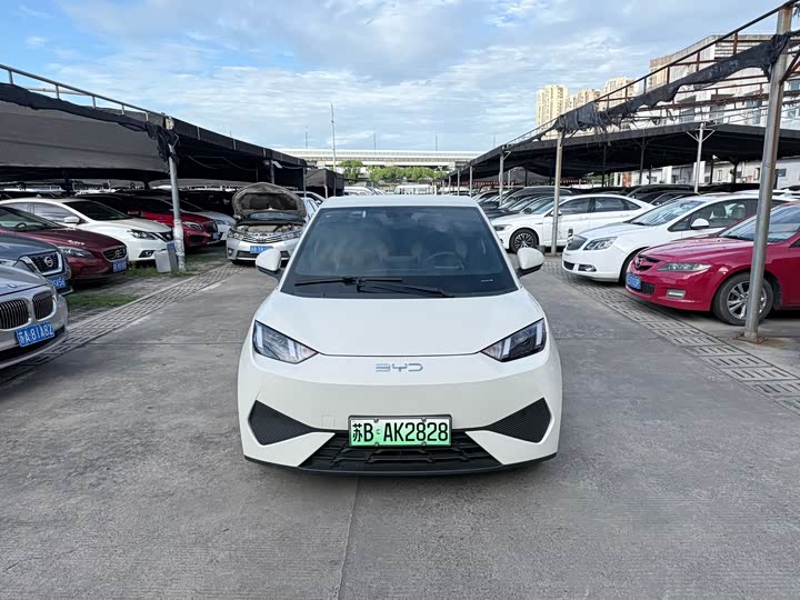 Seagull 2025 Smart Driving Edition 305km Vitality Edition - zdjęcie 11