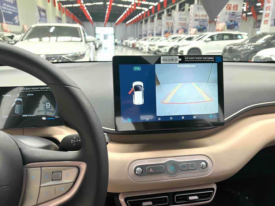 Seagull 2025 Smart Driving Edition 305km Vitality Edition - zdjęcie 12