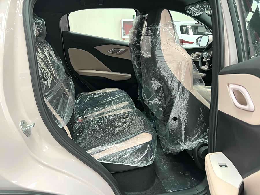 Seagull 2025 Smart Driving Edition 305km Vitality Edition - zdjęcie 13