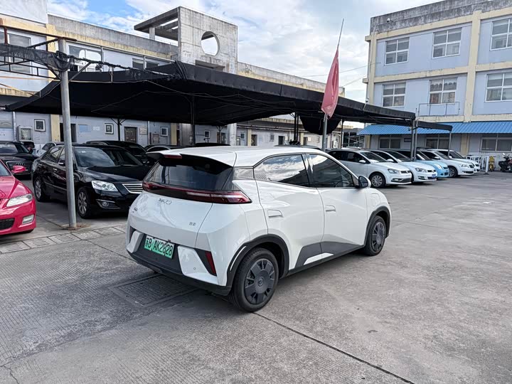 Seagull 2025 Smart Driving Edition 305km Vitality Edition - zdjęcie 13