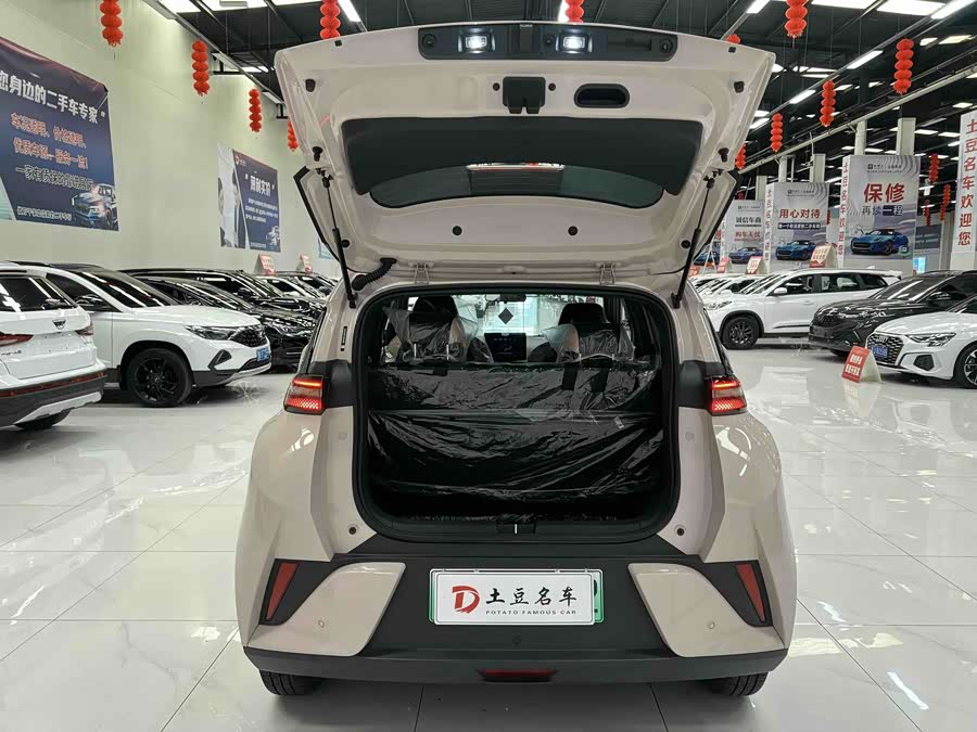 Seagull 2025 Smart Driving Edition 305km Vitality Edition - zdjęcie 14