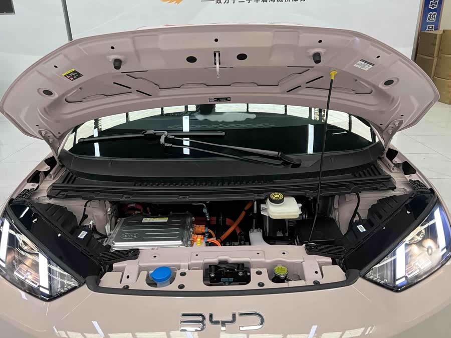 Seagull 2025 Smart Driving Edition 305km Vitality Edition - zdjęcie 16