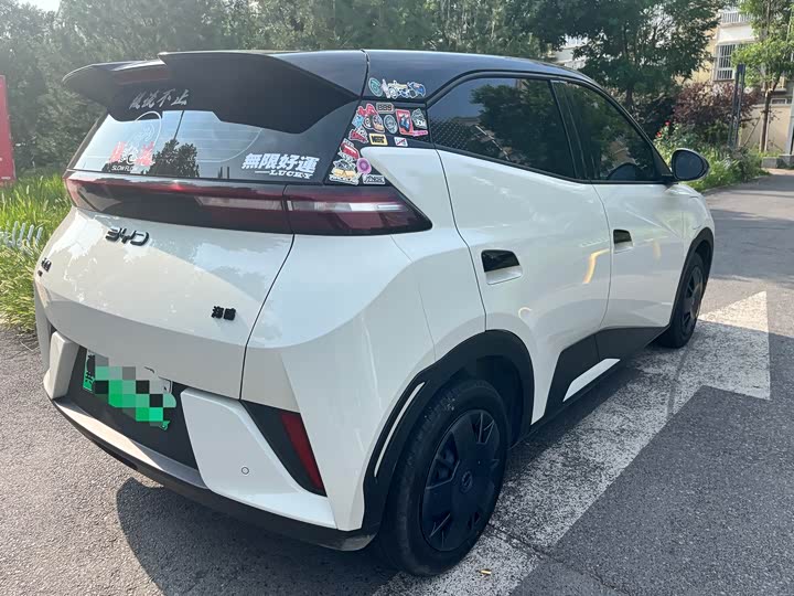 Seagull 2025 Smart Driving Edition 305km Vitality Edition - zdjęcie 17