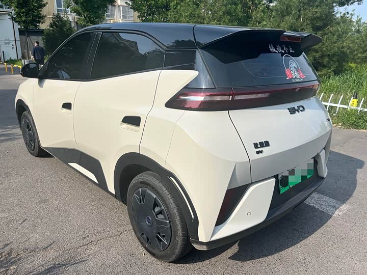 Seagull 2025 Smart Driving Edition 305km Vitality Edition - zdjęcie 18