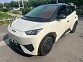 Seagull 2025 Smart Driving Edition 305km Vitality Edition - zdjęcie 19