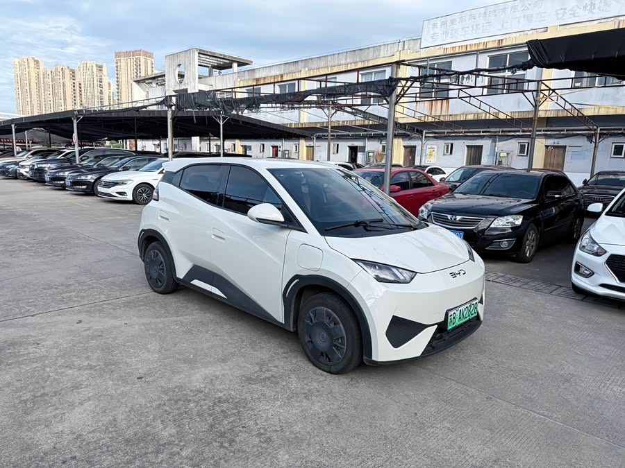 Seagull 2025 Smart Driving Edition 305km Vitality Edition - zdjęcie 3