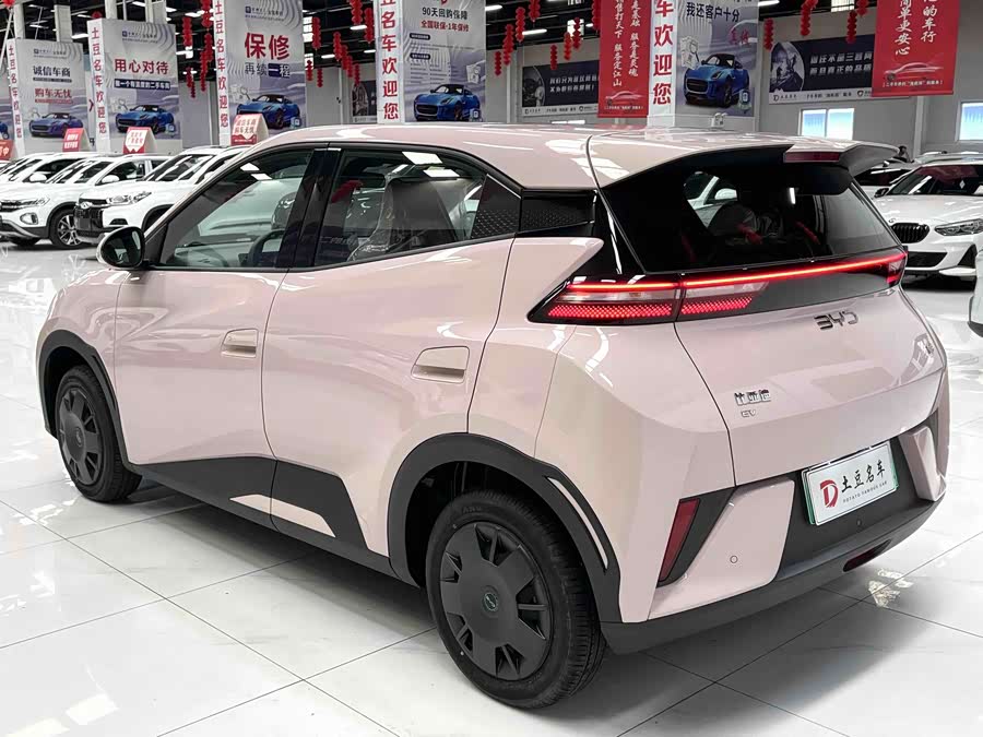 Seagull 2025 Smart Driving Edition 305km Vitality Edition - zdjęcie 4