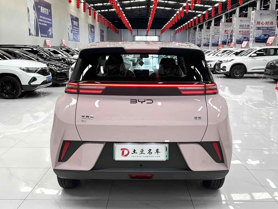 Seagull 2025 Smart Driving Edition 305km Vitality Edition - zdjęcie 5