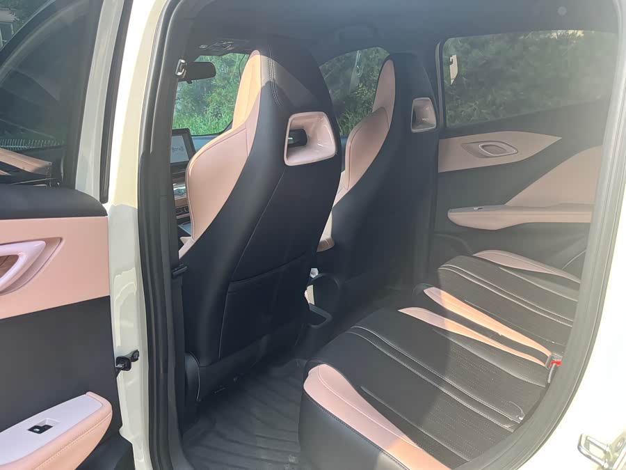 Seagull 2025 Smart Driving Edition 305km Vitality Edition - zdjęcie 5