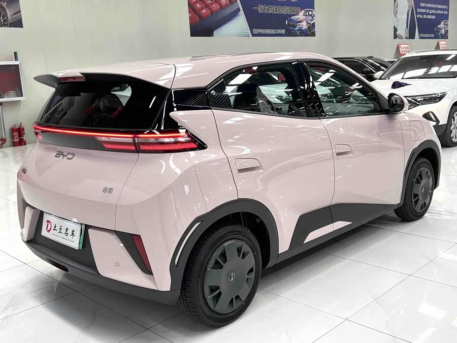 Seagull 2025 Smart Driving Edition 305km Vitality Edition - zdjęcie 6
