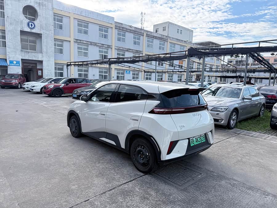 Seagull 2025 Smart Driving Edition 305km Vitality Edition - zdjęcie 6
