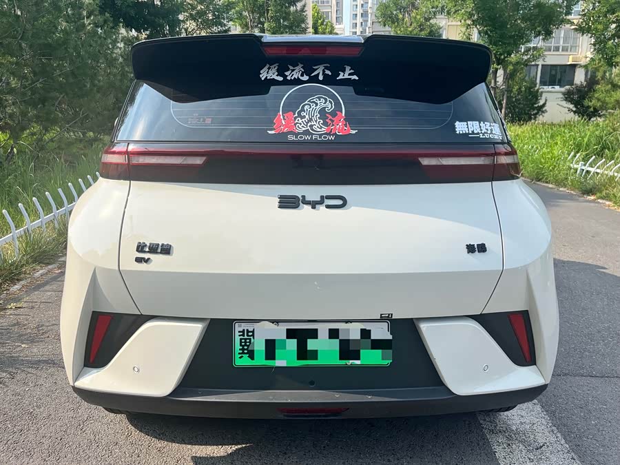 Seagull 2025 Smart Driving Edition 305km Vitality Edition - zdjęcie 7