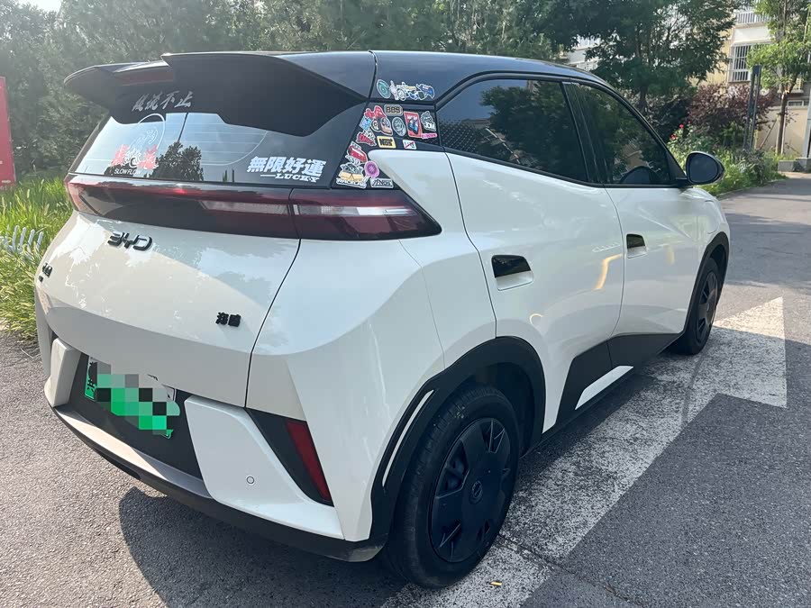 Seagull 2025 Smart Driving Edition 305km Vitality Edition - zdjęcie 8