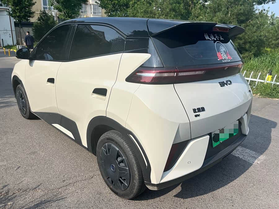 Seagull 2025 Smart Driving Edition 305km Vitality Edition - zdjęcie 9