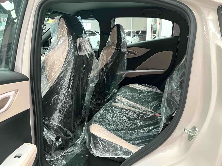 Seagull 2025 Smart Driving Edition 305km Vitality Edition - zdjęcie 10