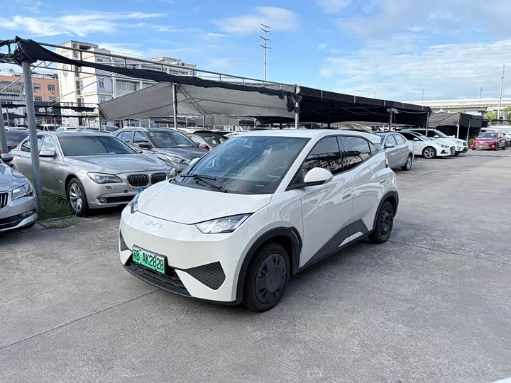 Seagull 2025 Smart Driving Edition 305km Vitality Edition - zdjęcie 10