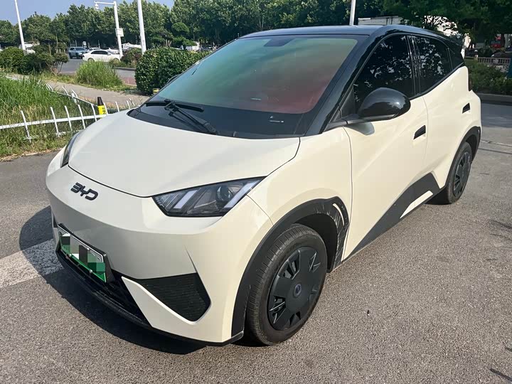 Seagull 2025 Smart Driving Edition 305km Vitality Edition - zdjęcie 10