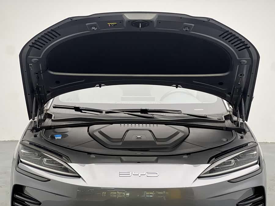 Song PLUS New Energy 2023 Champion Edition EV 520KM Luxury - zdjęcie 11