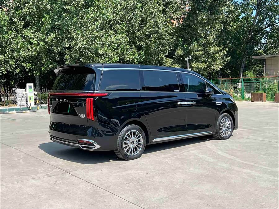 Weipai Gaoshan 2023 4WD Flagship - zdjęcie 13