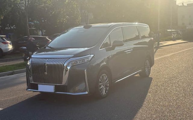 Weipai Gaoshan 2025 4WD Gaoshan 8