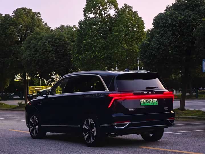 Wey Blue Mountain 2025 4WD Max - zdjęcie 18