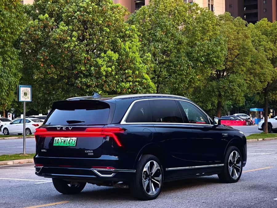 Wey Blue Mountain 2025 4WD Max - zdjęcie 7