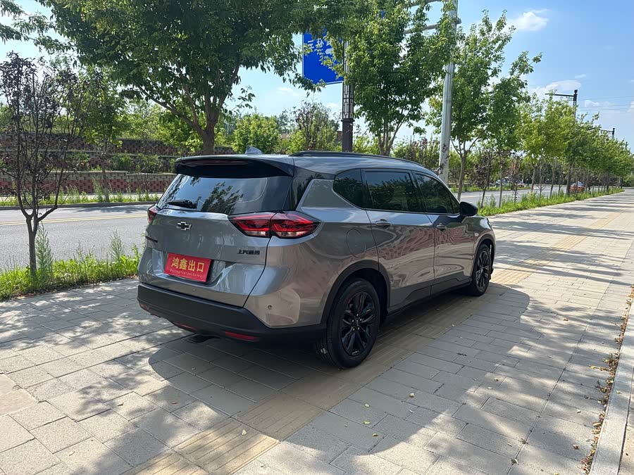 Wolando 2020 2.0T Light Hybrid Redline 530T Auto Enjoy Version (5+2) - zdjęcie 9