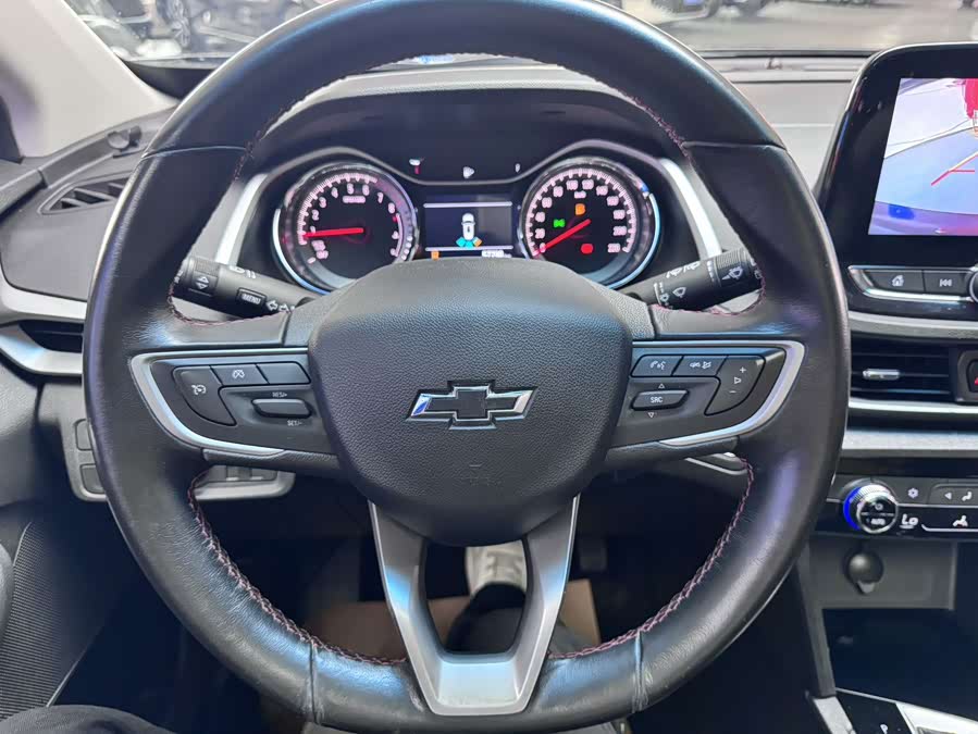 Wolando 2020 2.0T Light Hybrid Redline 530T Auto Enjoy Version (5+2) - zdjęcie 10