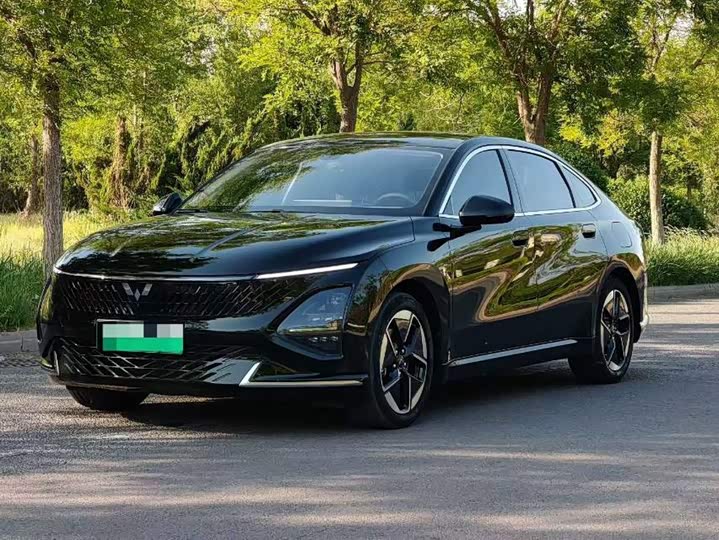 Wuling Xingguang 2023 150 Advanced Edition - zdjęcie 10